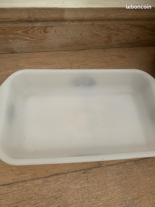 Plat / Saladier Vintage Arcopal Modèle Narcisse – Blanc, Motif Floral – Fabriqué En France – Occasion