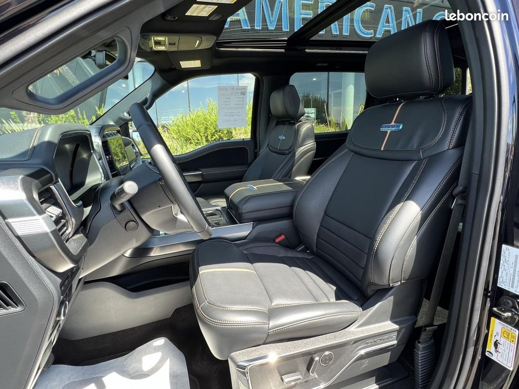 FORD F150 Supercrew PLATINUM 4x4 (image 10)
