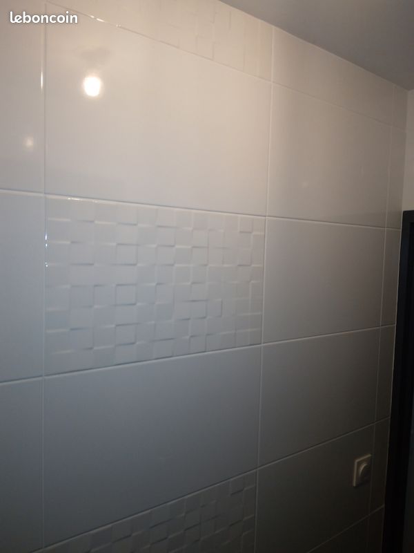 Faïence salle de bain (image 3)