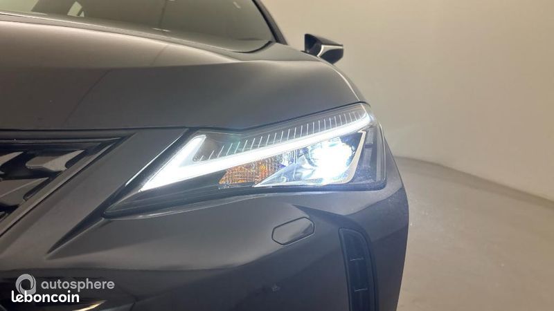 Lexus Ux 300e Pack (image 17)