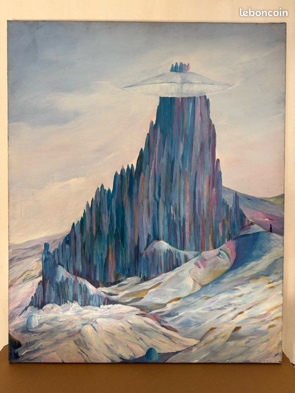 Vide-maison solidaire (image 3)