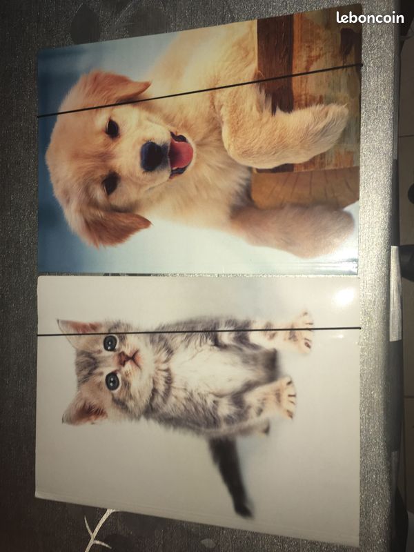 Grande pochette chat et chiens (image 1)