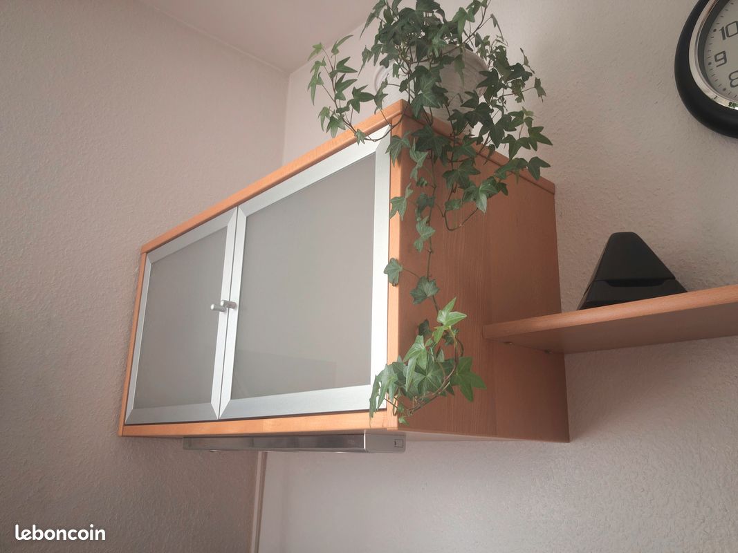 2 meubles muraux avec porte vitrée — Ikea EFFEKTIV (image 3)