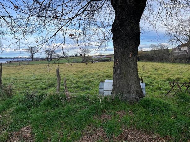 Terrain 2 644 m² Lavault Sainte Anne