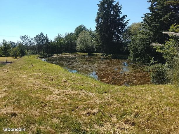 Terrain 4 700 m² Lureuil