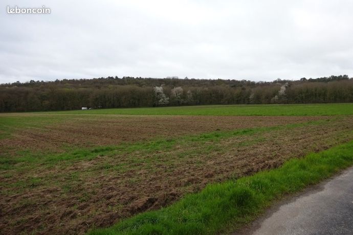 Terrain 4 150 m² Saint Pierre Les Nemours