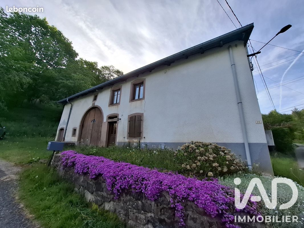 Maison 3 pièces 102 m² · à La Croix-aux-Mines · 102 m² · 76 000 €