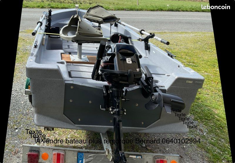 Moteur 6 cv (image 1)