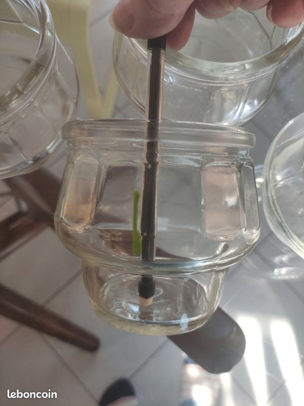 4 Pots en verre très ancien marque Janpil (image 4)