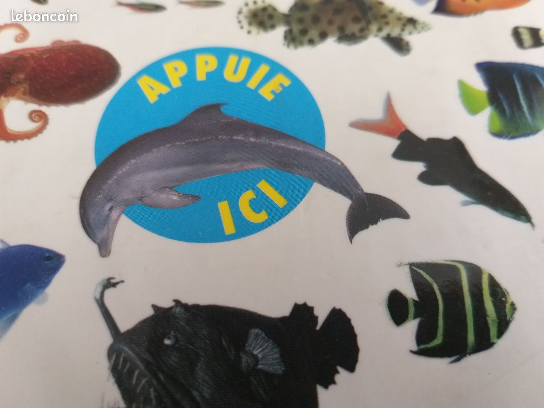 Livre " SPLOUF " le Monde aquatique - Gemma FLETCHER - MILAN Jeunesse 2009 (image 2)