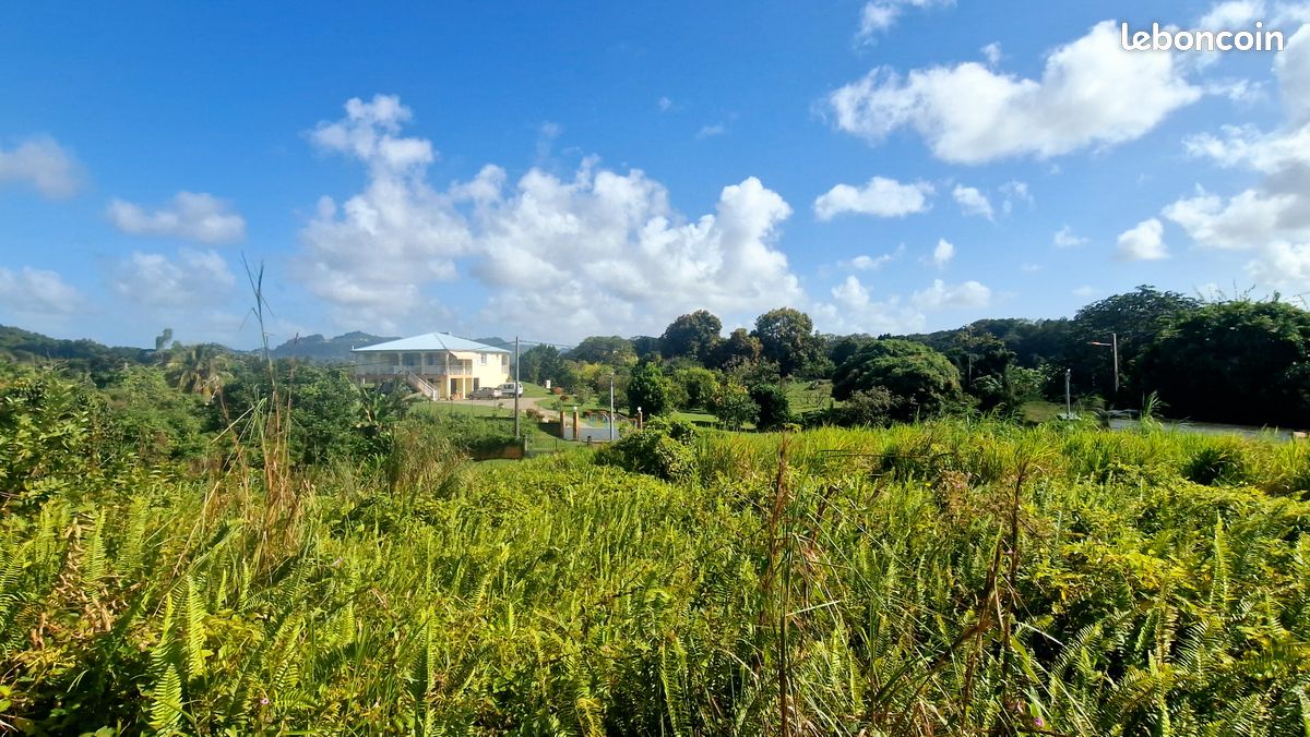 Très beau terrain viabilisé de 1300 m² · à Le Lamentin · 215 500 €
