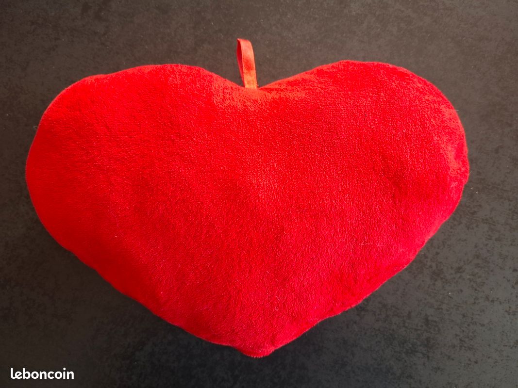 Coussin cœur (DitouG3E) (image 4)