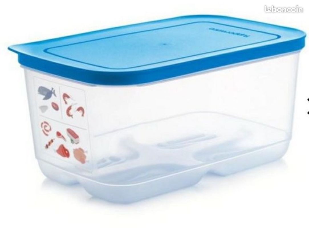 Boîte BoitOfrais 4,4 l - TUPPERWARE (image 1)