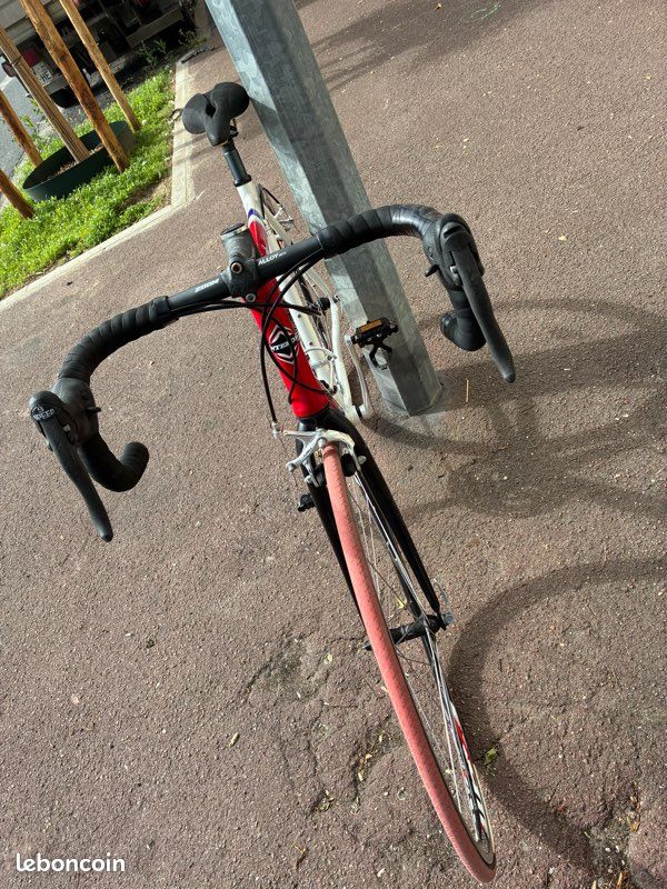 Vélo de course Interom Campagnolo aluminium (image 14)