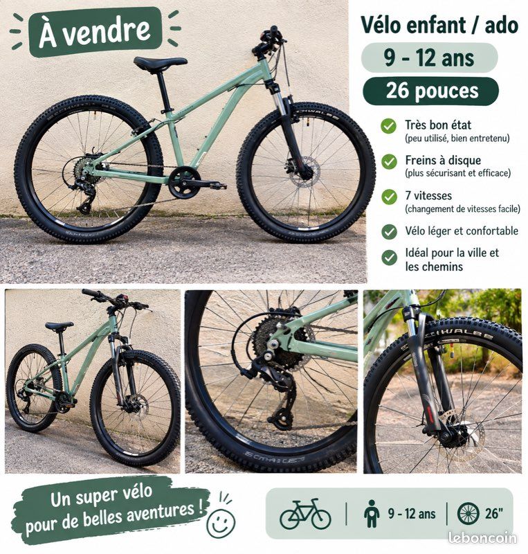Vélo VTT (image 1)