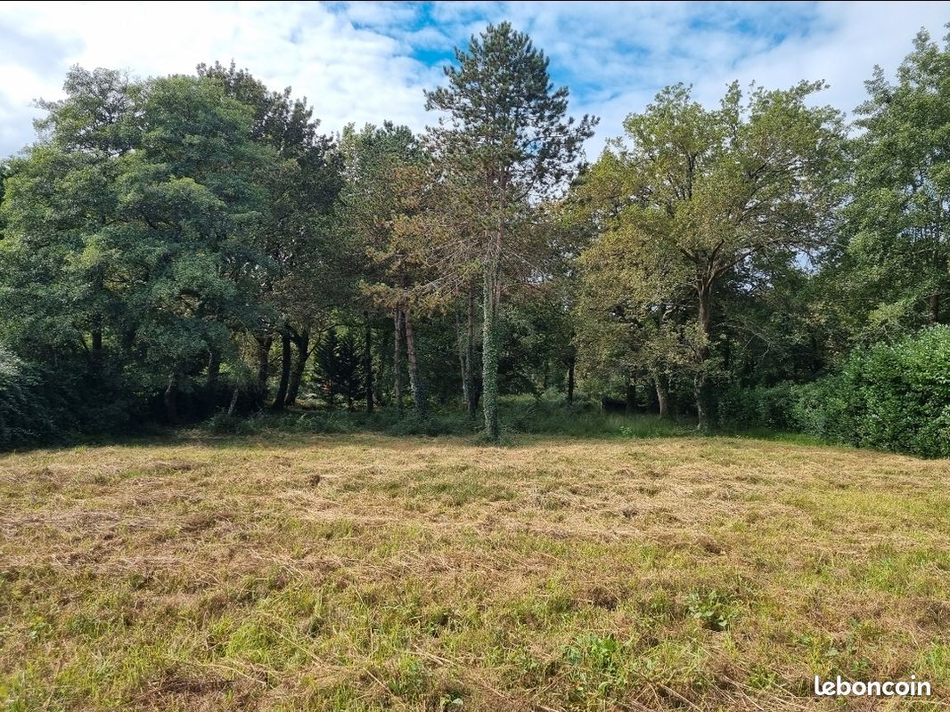 Vend terrain 11000m2 dont 905 m2 constructible · à Bénesse-Maremne · 335 000 €