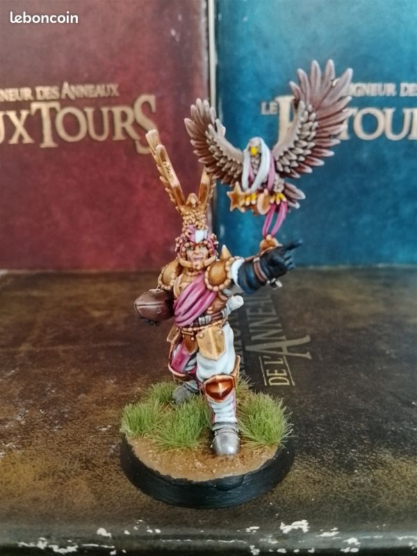 Vends Bloodbowl Team Noblesse Impériale (image 1)