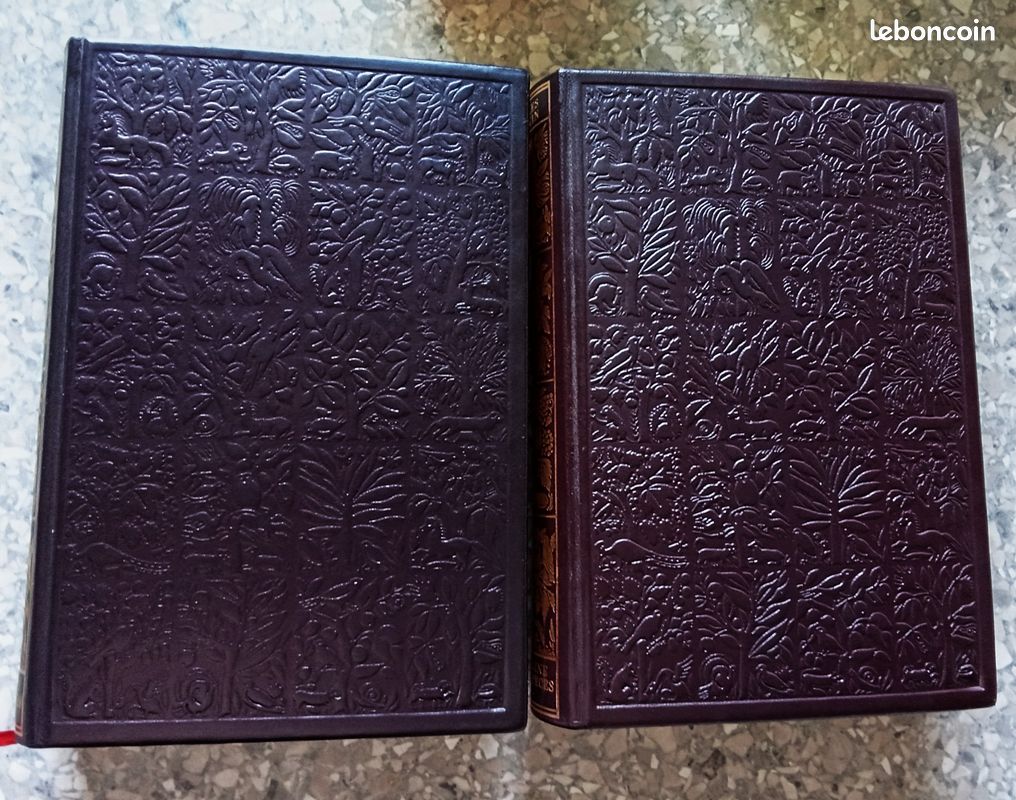 L'origine des espèces Charles Darwin Jean de Bonnot 2 Volumes complet (image 2)