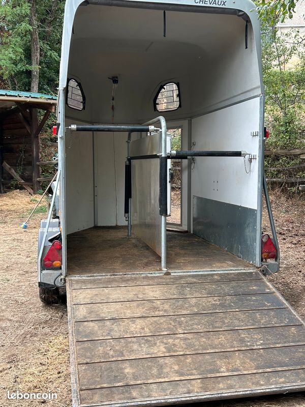Van 2 places Cheval Liberté Gold XLine – 2019 – Excellent état (image 3)