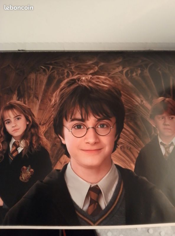 Livre posters Harry Potter et la chambre des secrets (image 3)