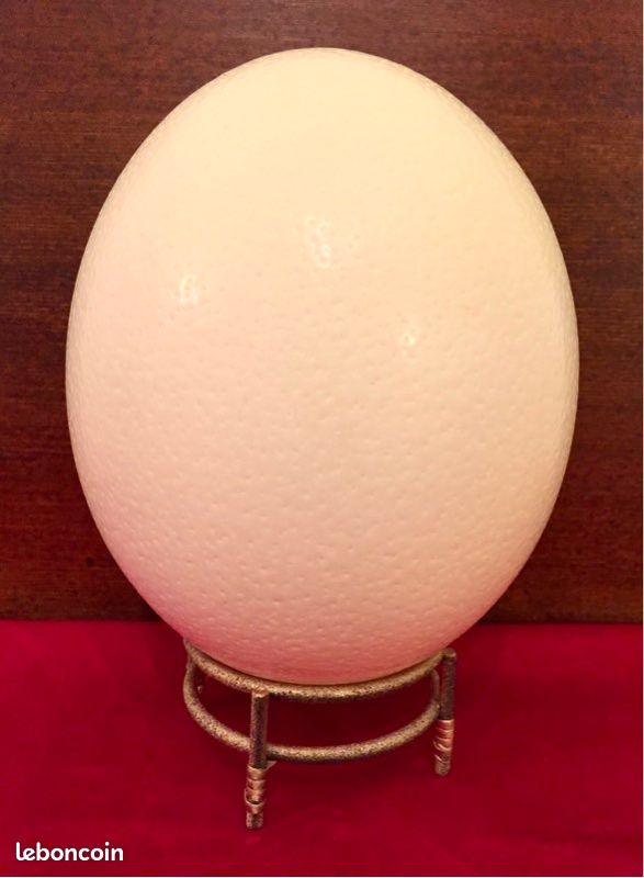 Oeuf d'Autruche finement décoré - Oeuf d'Autruche a décor