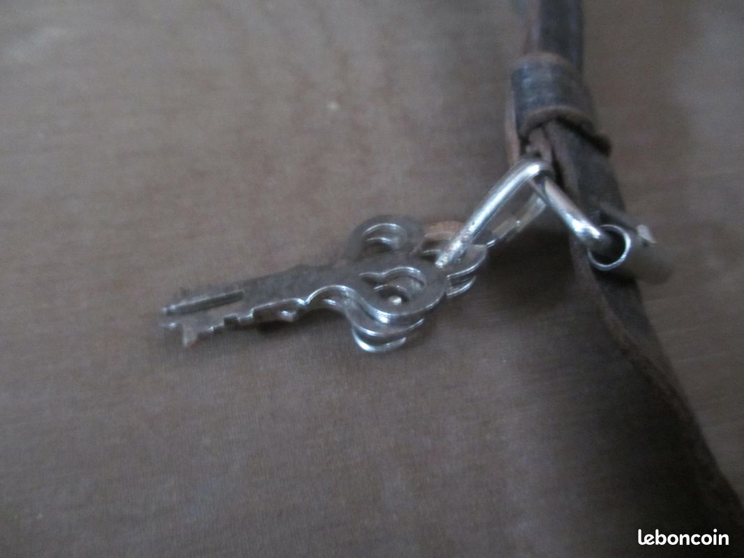 Ancienne valise en cuir effet crocodile (image 15)