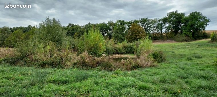 Terrain 1 860 m² Gimbrede