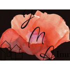Logo du professionnel