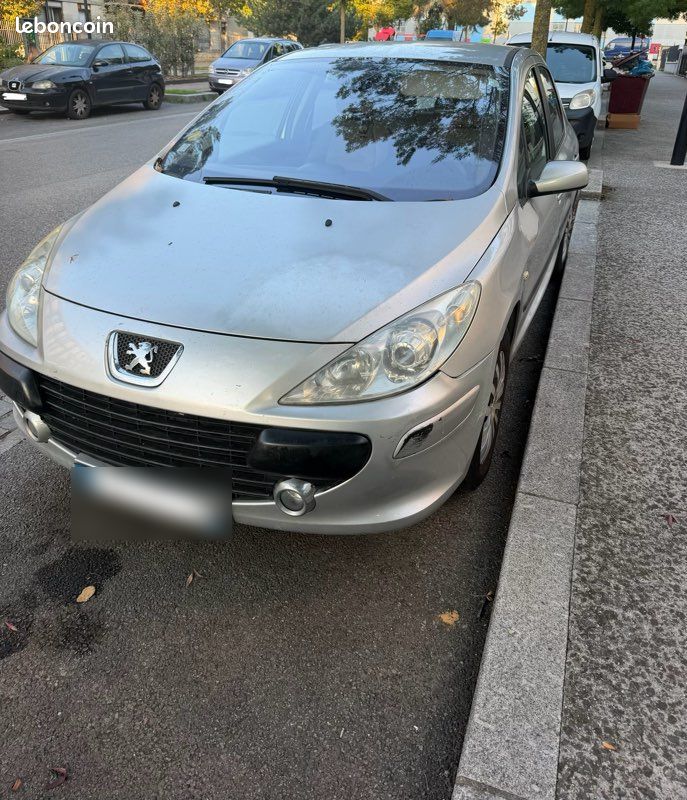 Peugeot 307 1.6 16v essence – 166 644 km – 5 portes (image 1)
