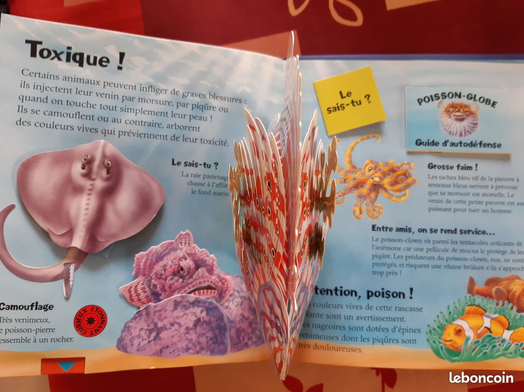 Livre les poissons de l'océan (image 2)