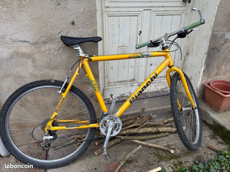 Cadre Vélo Bianchi B1-7330 (LB239) - Occasion à Restaurer