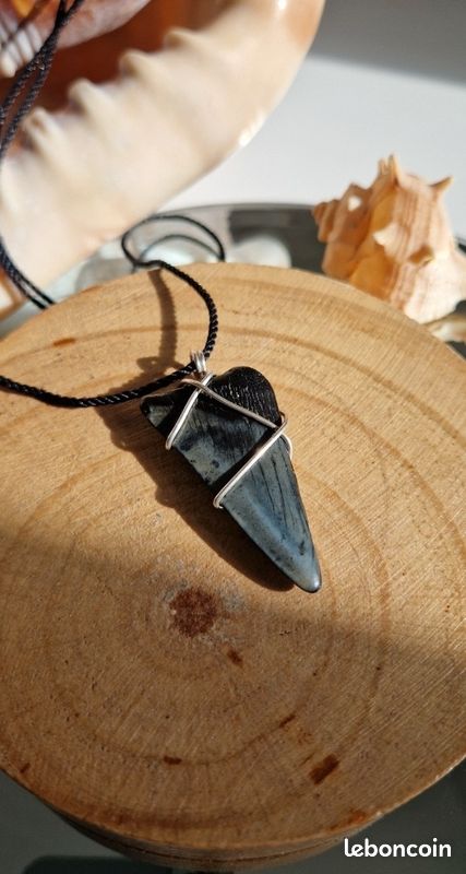 Pendentif Dent De Requin Fossile 5,74 Carats – Monture Argent, Bijou Masculin