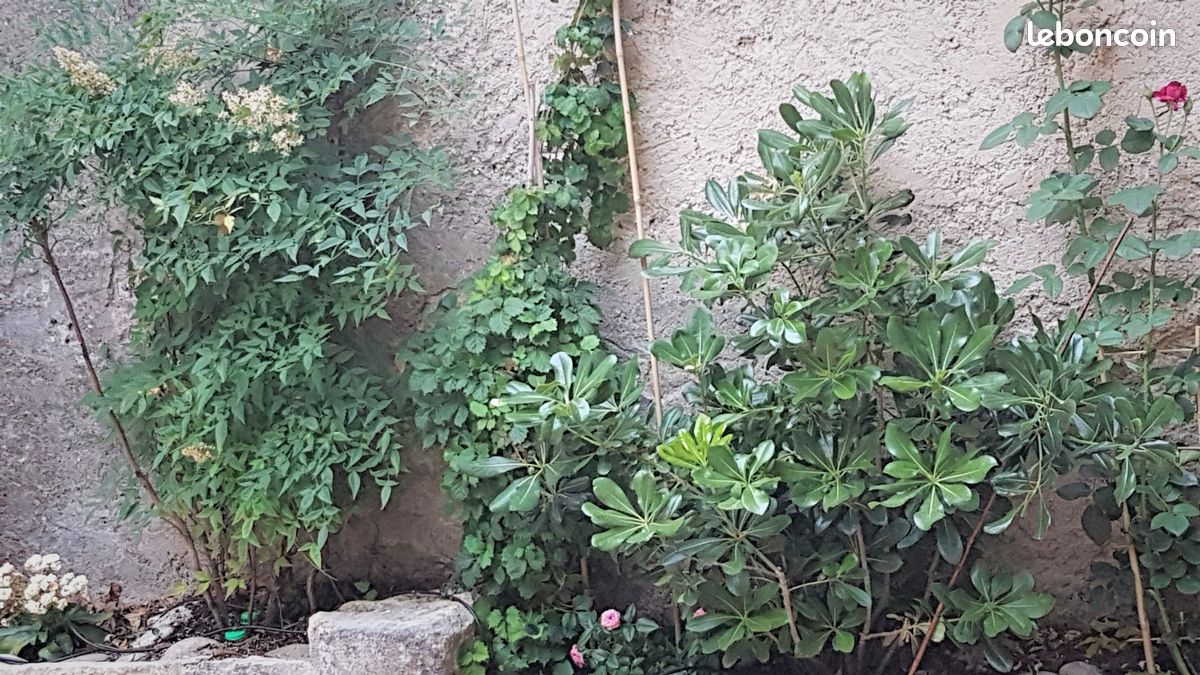 Appartement 2 pièces 45 m² · à Saint-Rémy-de-Provence · 45 m² · 1 050 €/mois