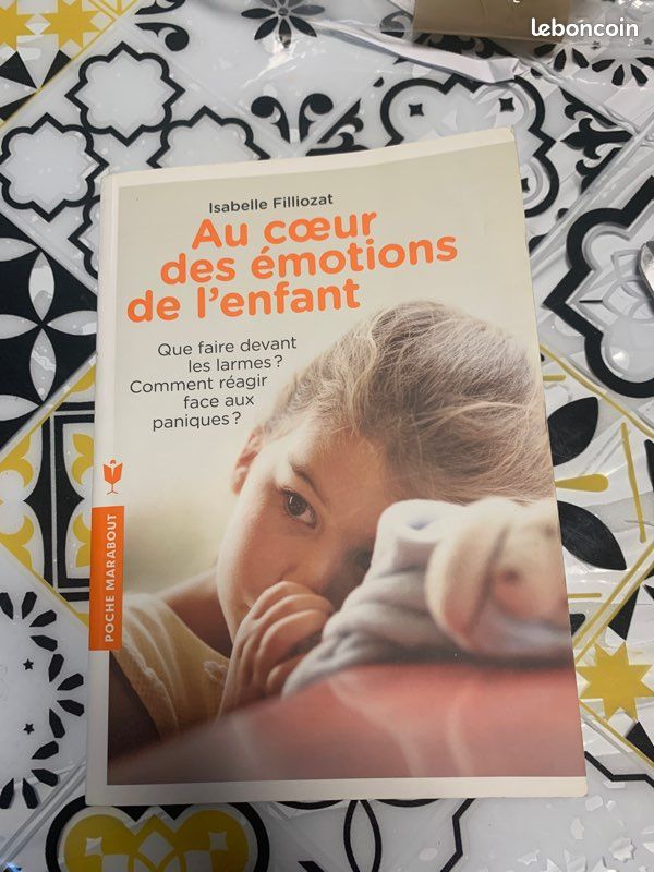 Au cœur des émotions de l’enfant (image 2)