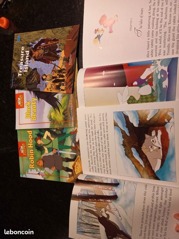 Livre pour enfant en anglais (image 2)