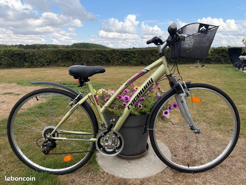 Vélo VTC femme / mixte Raceway — Très bon état (image 2)