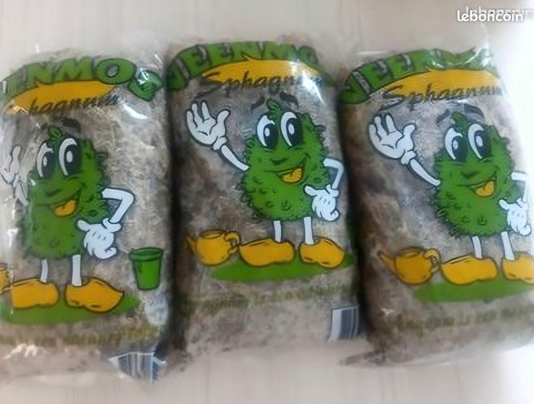 Sachet de Sphaigne vivante (image 2)