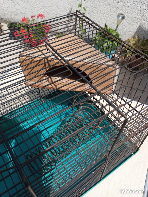 Cage à rongeurs (image 3)
