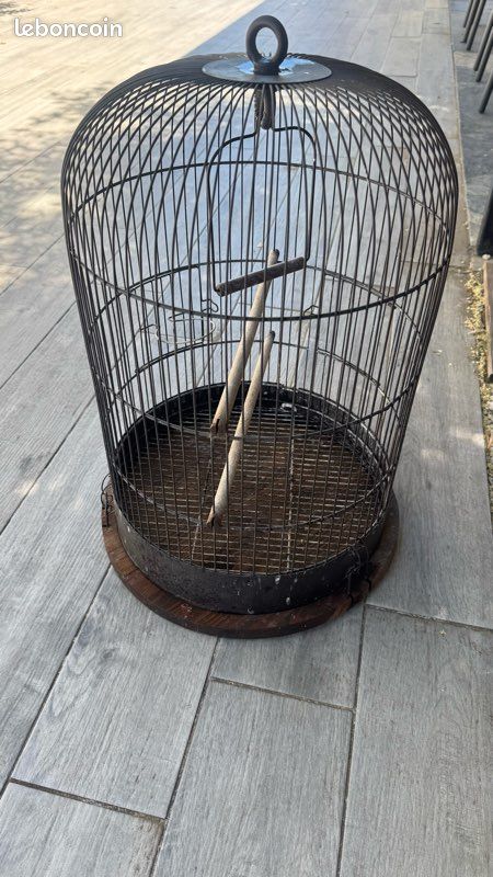 Cage oiseaux (image 1)