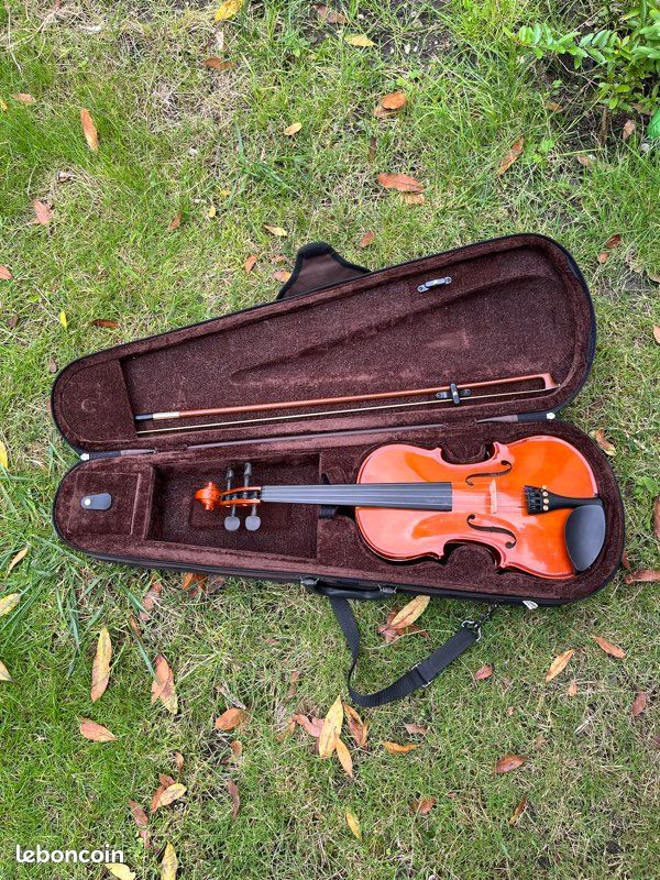 Violon 3/4 professionnels très très bonne état (image 1)