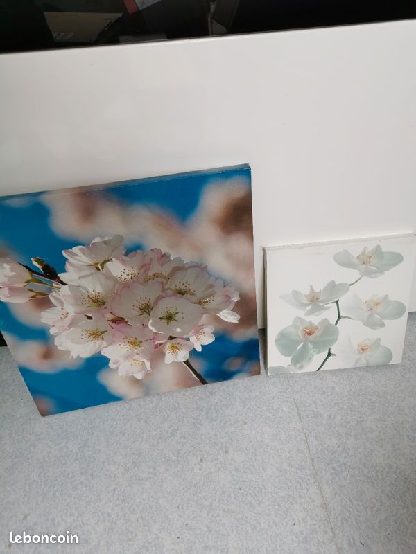 Lot de tableaux, déco diverses (image 12)