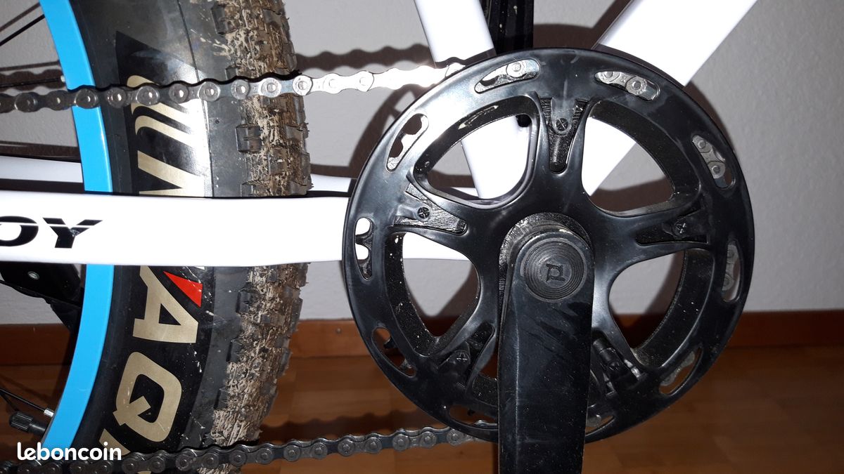 Fatbike Mountainbike (image 3)