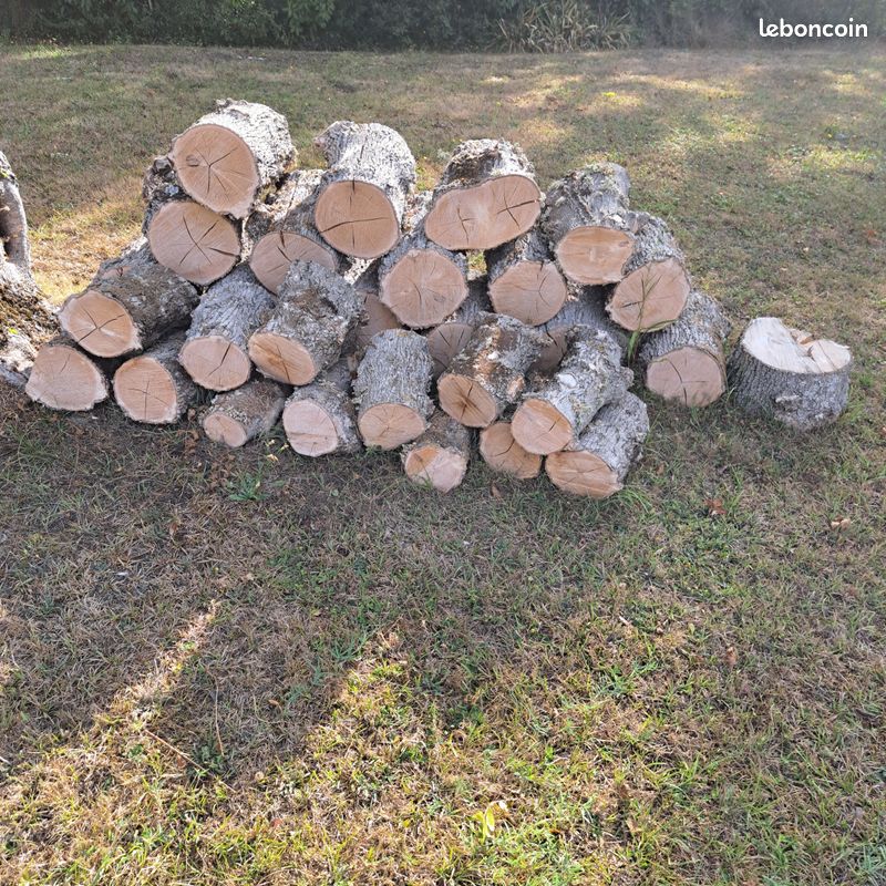 Bois de chauffage frêne (image 2)