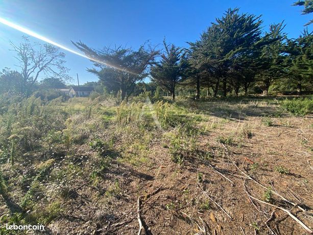 Forêt 435 m² Barbatre