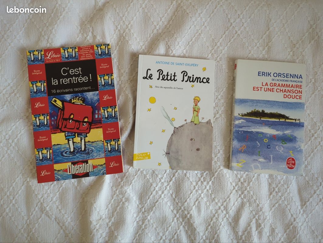 Lot de 2 livres pour écoliers (image 1)