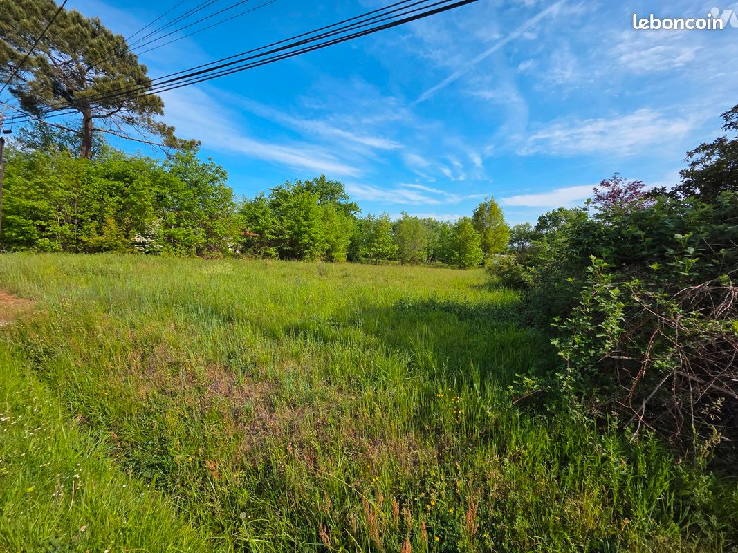 Terrain 3030 m² · à Casteljaloux · 3 030 m² · 69 550 €