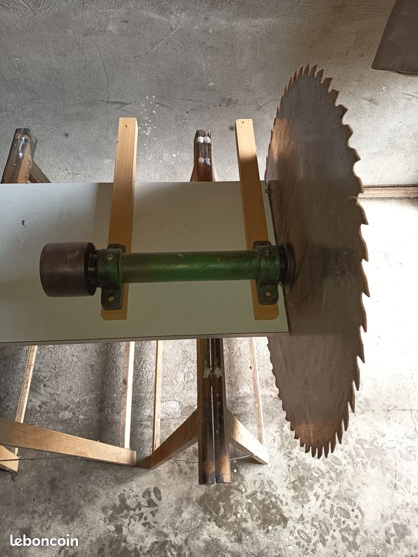 Scier Un Arbre Avec Une Scie Circulaire Photo stock - Image du machines