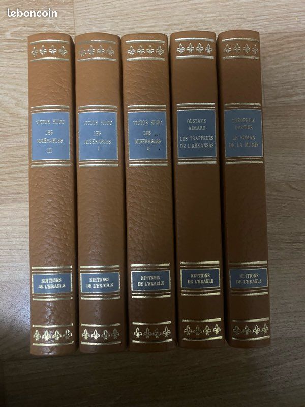 Livre rare lot de 32 livre éditions de l’érable (image 7)