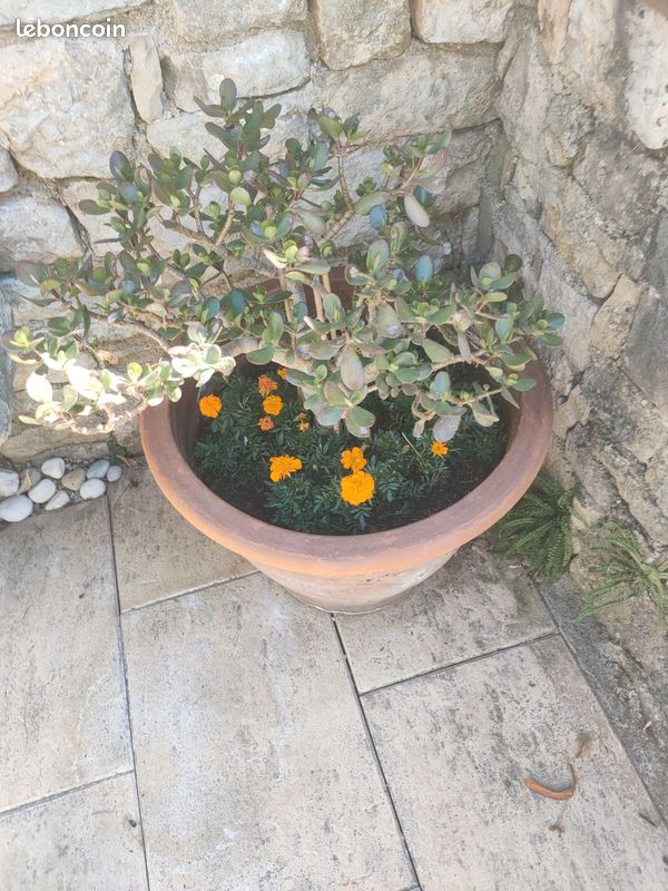 Appartement 5 pièces 80 m² · à Nice · 80 m² · 150 000 €