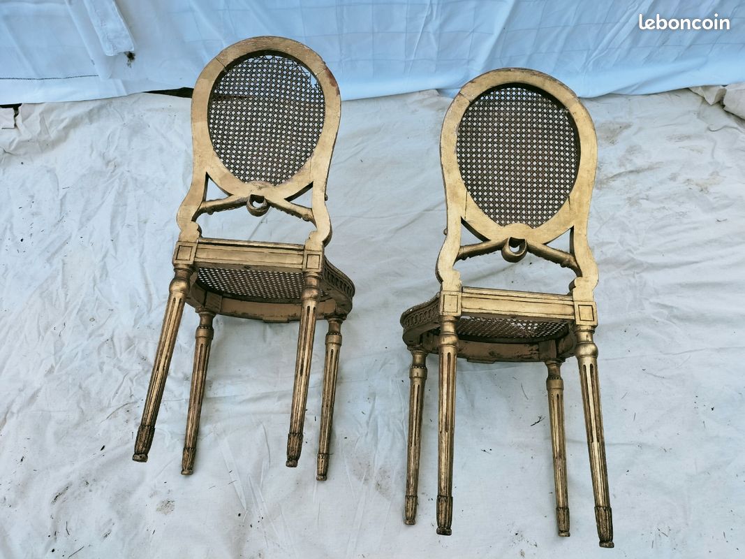 Paire de chaises médaillon (image 2)